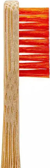 Angelus Detail-Reinigungsbürstenset 10162