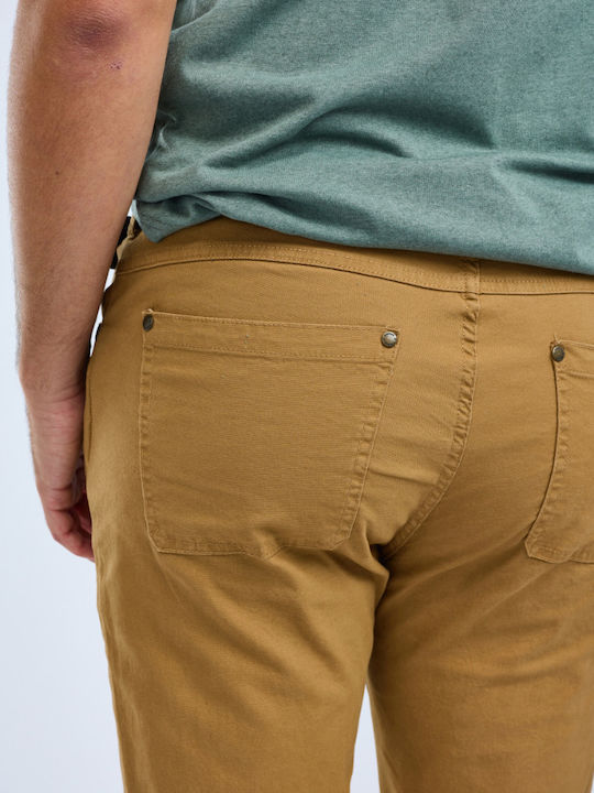 Pinewood Hunting Pants in Beige Colour