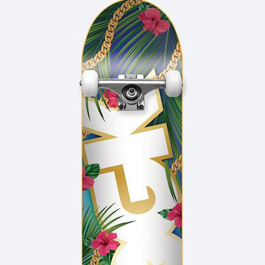 DGK Vacation 8.25" Пълен Къс Скейтборд Многоцветен