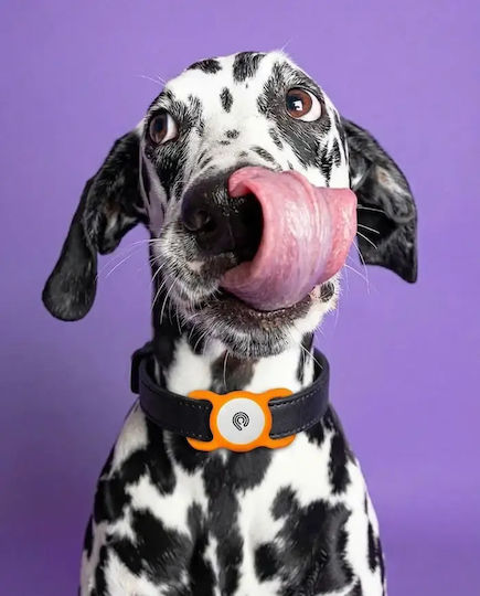 Hyperloq Neopro Pet Case Ρόζ