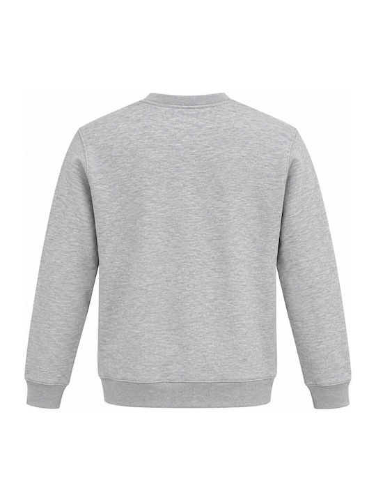 Grey Sweatshirt