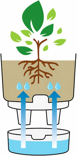 Viomes Vita Self-watering Pot Plastic 20x20x18cm.