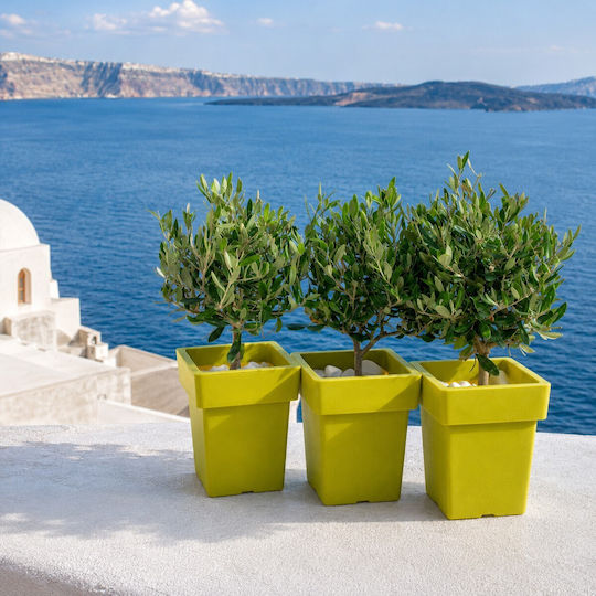 Flower Pot Tetp Linea 30lt-33x33x42h cm-green/yellow