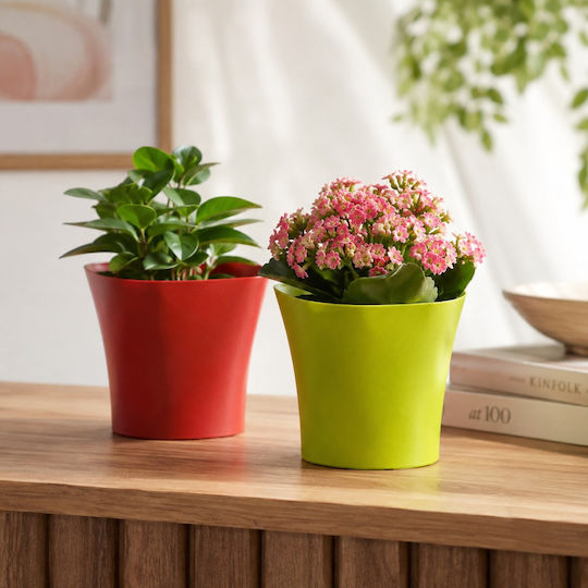 Viomes Pot Green/yellow