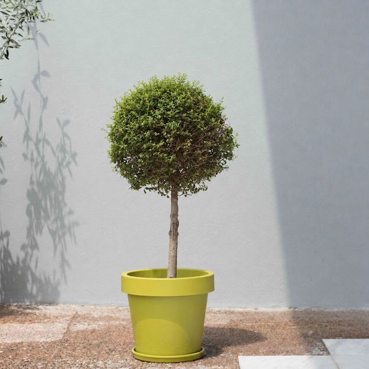Viomes Iris Basil Flower Pot 25x25x22cm
