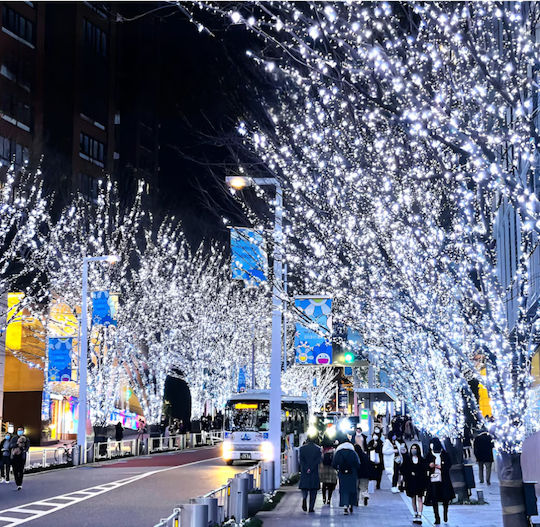 140 LED Lights 50 m Cold White String Lights