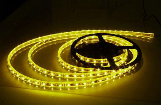 Blue LED Strip 60xLED 12V Length 1m