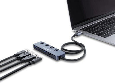 DeLock Hub 10 Θυρών με σύνδεση USB-C Γκρι