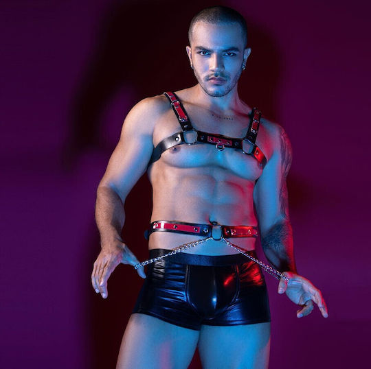 Roza Underwear Men's Black Harness