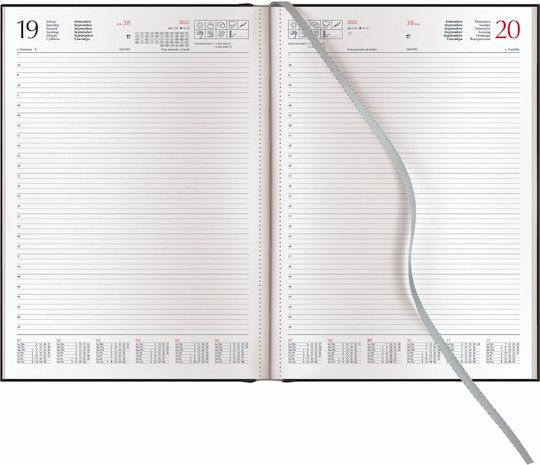 Θεοφύλακτος Kashmir Ημερήσιο Planner A4 2027 Γκρι 21x29.7εκ.