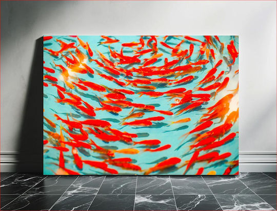 Colorful School Of Fish Πολύχρωμο Σχολείο Ψαριών 1 Colorful School Of Fish Πολύχρωμο Σχολείο Ψαριών 1