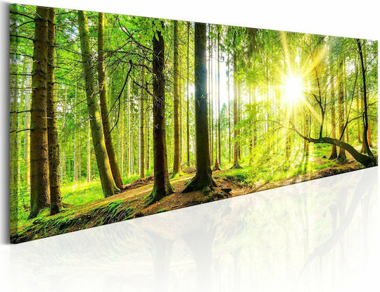 Polihome Majestic Fabric 150x50 cm