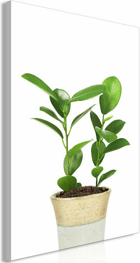 Polihome Plant In Pot on Canvas 40x60 cm