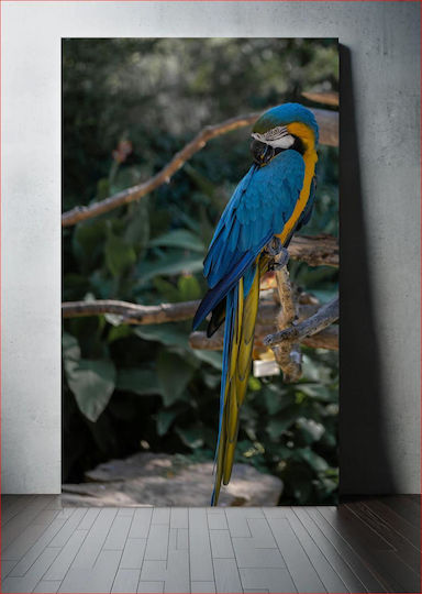 Colorful Parrot Perching Πολύχρωμος Παπαγάλος Που Κουρνιάζει Colorful Parrot Perching Πολύχρωμος Παπαγάλος Που Κουρνιάζει