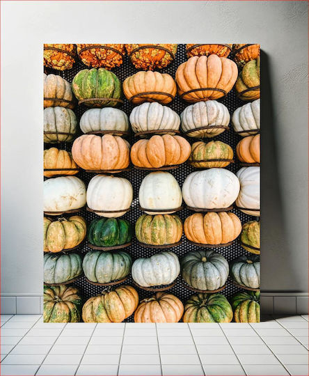 Painting Colorful Pumpkin Display Multicolored Pumpkin Display 100x150 Painting Colorful Pumpkin Display Multicolored Pumpkin Display 100x150