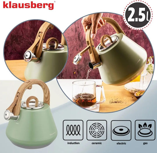 Klausberg Електрическа кана от неръждаема стомана, сива, 2500 мл