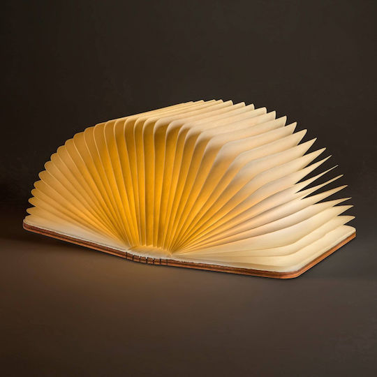 Decorative Illuminated Book