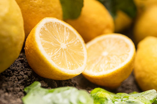 Δέντρο Νάνο Λέμονι Limone Lipo Σεληνιακο Λεμονι Ή 4 Εποχες