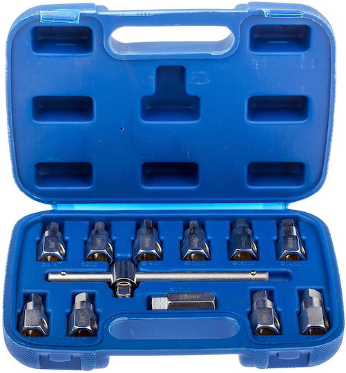 Satra Satra Καρυδάκια T-Griff Quadrate mit Rahmen Gastgeber 3/8" HEX Set 12Stücke