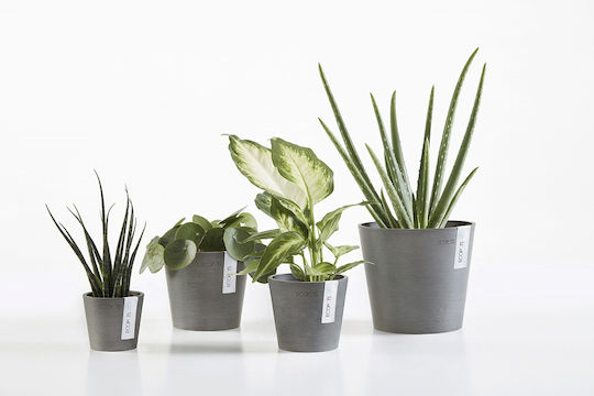 Ecopots Amsterdam Mini Pot Plastic White Grey 10.5x10.5x9.2cm.
