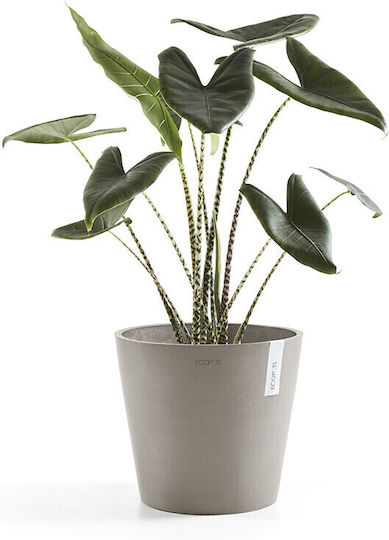 Ecopots Amsterdam Pot Plastic Taupe 30x30x26.3cm.