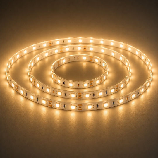Elmark Waterproof LED Strip 24V 1m Type SMD3528