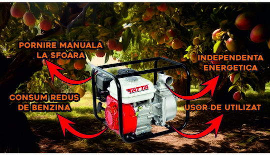 Tatta Βενζινοκίνητη Αντλία Επιφάνειας 6.5hp