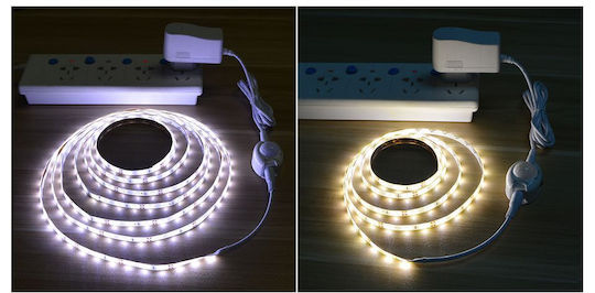 LED Night Light Plug with Motion Sensor 1pcs