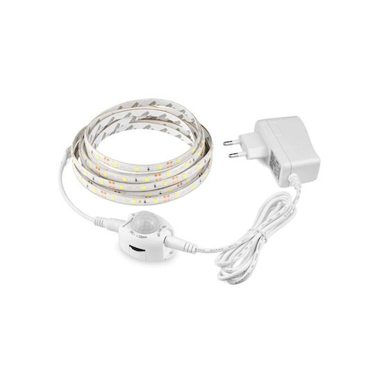 LED Night Light Plug with Motion Sensor 1pcs