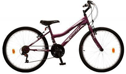 Comfort 24" Bicicletă De Munte Pentru Copii Violet