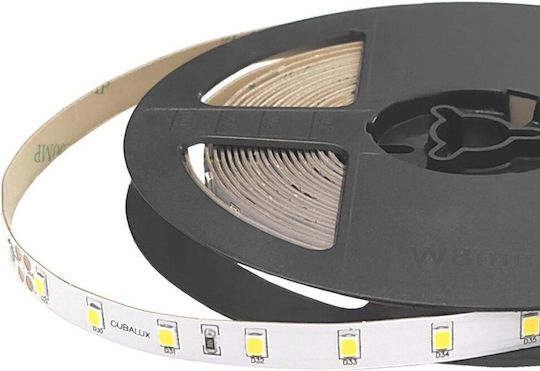 Cubalux 24V LED Strip Cool White Light