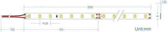 Cubalux 24V LED Strip Cool White Light