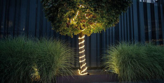 Red Christmas Tube Light 15m IP65