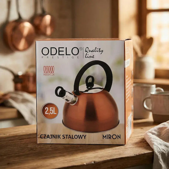 Odelo Fierbător din Oțel Inoxidabil Copper 2500 ml OD2213