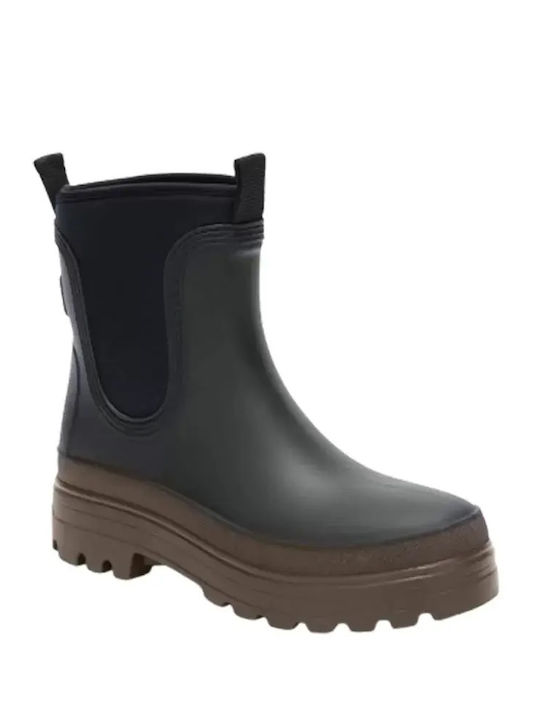 Scholl Scholl