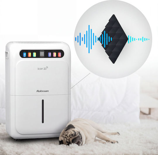 R-91520 Dehumidifier with Compressor Ionizer and Wi-Fi 20 L