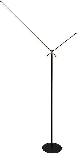 Domoletti LED Floor Lamp H170cm Black Domoletti LED Floor Lamp H170cm Black