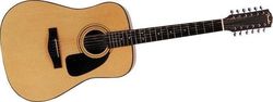 Fender 12χορδη Ακουστική Κιθάρα DG-10/12 Natural Satin