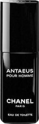 Chanel Eau de Toilette 100ml Chanel Eau de Toilette 100ml