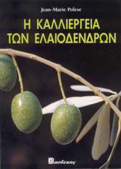 Η καλλιέργεια των ελαιοδένδρων Η καλλιέργεια των ελαιοδένδρων