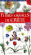 Fleurs sauvages de Crète