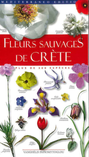 Fleurs sauvages de Crète