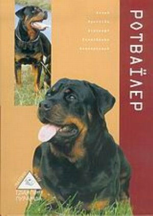 Ροτβάιλερ, Purchase, care, feeding, education, breeding