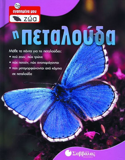 The butterfly The butterfly