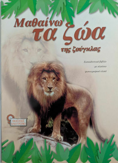 Learning the animals of the jungle Learning the animals of the jungle