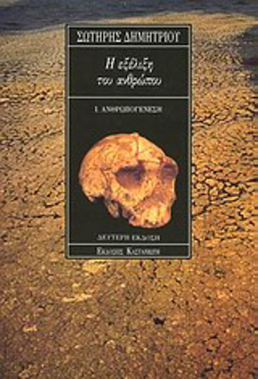Η εξέλιξη του ανθρώπου, Ανθρωπογένεση, ανθρωπολογία