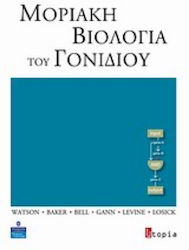 Μοριακή βιολογία του γονιδίου