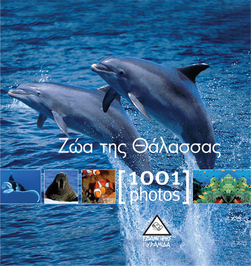 Ζώα της θάλασσας [1001 photos]