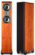 Polk Audio TSi 300