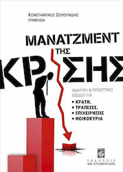 Μάνατζμεντ της κρίσης, Analysis and exit prospects for states, banks, businesses, households